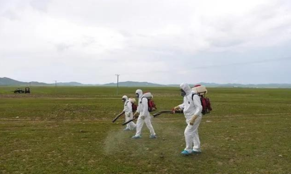 蝗災(zāi)來襲，農(nóng)藥獸藥防偽溯源面臨機(jī)遇和挑戰(zhàn)